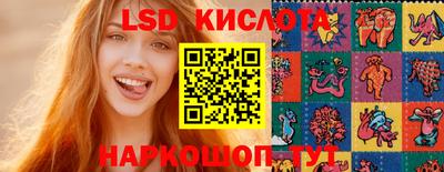 дмт Новодвинск