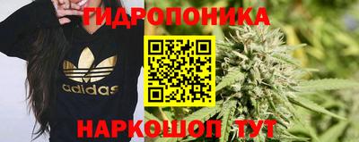 кокаин колумбия Новозыбков