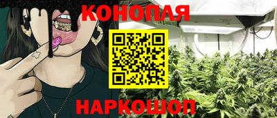 дмт Новодвинск